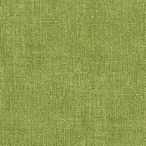 EE Schenck BURLAP PRINT BEN0075747B - BRIGHT -  LIME