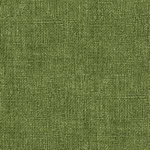 EE Schenck BURLAP PRINT BEN0075748B - BRIGHT -  Olive