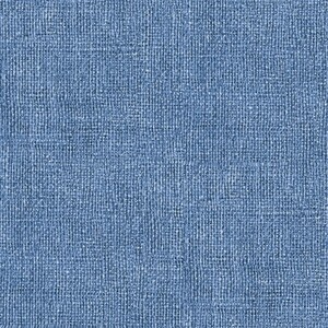 EE Schenck BURLAP PRINT BEN0075753B - BRIGHT -  DENIM