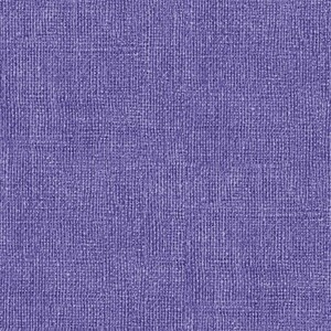 EE Schenck BURLAP PRINT BEN0075768B - BRIGHT -  Purple