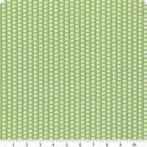 Riley Blake Stitch C10926-Green Stitch Daisy Chain