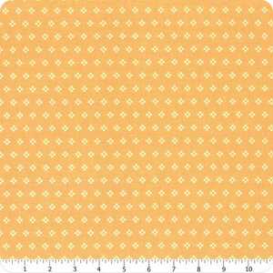 Riley Blake Stitch C10929-Daisy Stitch Square