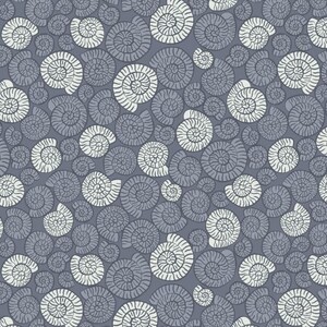 EE Schenck Dino Glow LEIA673-3 AMMONITES - DARK GREY