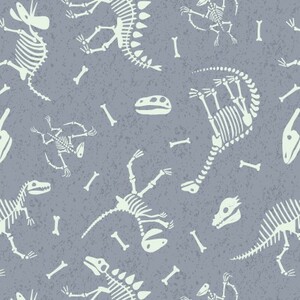 EE Schenck Dino Glow LEIA674-2 DINO SKELETONS - DK SLATE