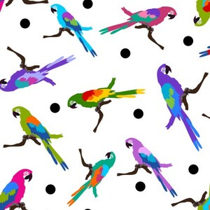 EE Schenck Colorful IBFCOL3COL-1 Parrots