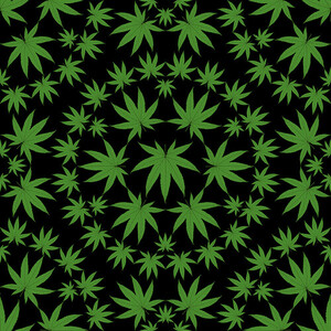 Blank Quilting Herban Sprawl Too 2064-99 Black Large Cannabis leaves