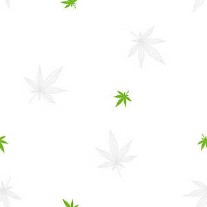Blank Quilting Herban Sprawl Too 2070-01 Cannabis Leaves