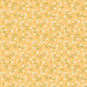 EE Schenck Sunshine & Chamomile POCSC23513	Chamomile Yellow