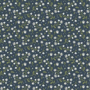 EE Schenck Sunshine & Chamomile POCSC23514	Chamomile Navy