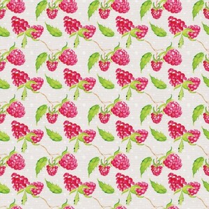 EE Schenck Sweet & Sour PSF120-22618 Raspberries