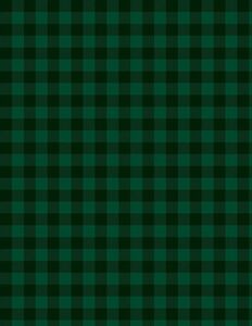 Wilmington Prints Buffalo Check 1817 39148 779 Buffalo Check Dark Green