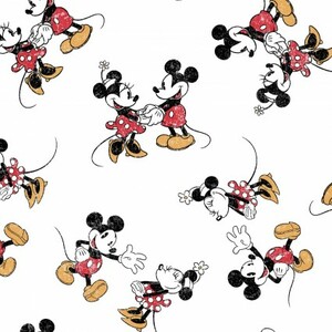 EE Schenck Mickey & Minnie Mouse SPR72802-G550715 Vintage Scattered