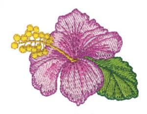 9281: Amazing Designs ADC NZ20 Nancy Zeiman Tropical Dreams Embroidery Designs Multi-Formtted CD