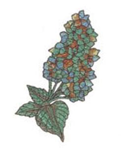 Great Notions 1489, 20 Amazing Wall Flower Embroidery Designs I CD