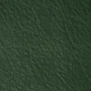 Sallie Tomato HFLL0220 Forest Green Legacy Faux Leather 1/2 Yard