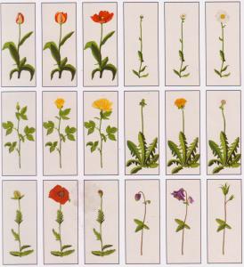 Husqvarna Viking 113 Flora Embroidery Floppy Disk for Designer 1 & 2