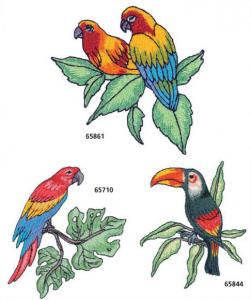 Great Notions 112134 Birds Of Paradise Multi-Formatted CD