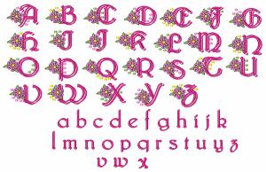 Great Notions 112434 Polka Dot Floral Alphabet, 2 Sizes Are Included Multi-Formatted CD-Roms,