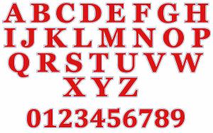 Great Notions 112439 Polka Dot Floral Alphabet, 2 Sizes Are Included Multi-Formatted CD-Roms,