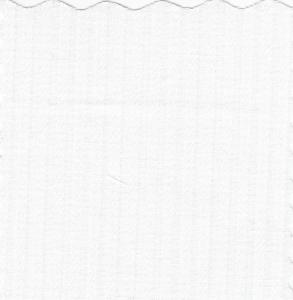Bear Threads Swiss Voile Stripe WHITE, 10 Yd Bolt, $19.99 a Yard, 100% Cotton Fabric, 63" Wide