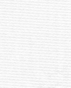 Bear Threads Pique Swiss Textured Pique F8751 10 Yd Bolt 100% Swiss Cotton 55" Wide