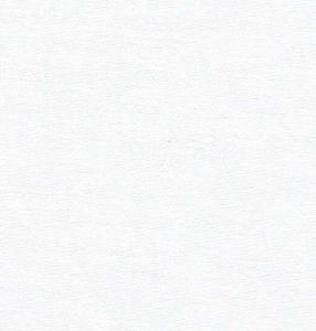 Bear Threads Swiss Silky Broadcloth White 10 Yd Bolt 23.99 A Yd 100% Cotton 51" Wide
