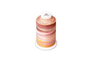 DIME Medley V5103 Variegated Polyester Embroidery Thread by Exquisite 40wt 5000m Snap Spool