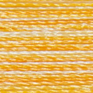 Isacord Variegated Multicolor Embroidery Thread 9925 Saffron  2579-9925 Polyester 1000m Spool