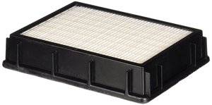 Eureka 61111C-2 (2-Pack) Non-Washable HEPA Filter for Eureka Boss Smart Ultra Vac 4870 Vacuum Cleaner Series