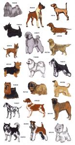 Great Notions 1010 Dogs I, 20 Embroidery Designs on Mulit-Formatted CD