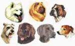 Balboa Threadworks 75Y Dog Collection 4 5x7 Embroidery Disks