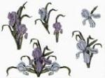Balboa Threadworks 77J Iris Floral 1 5x7 Embroidery Disks