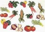 Balboa Threadworks 77M Vegetable Collection 1 5x7 Embroidery Disks