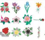 Stitchitize Embroidery Designs Floral Gardening  Collection Multi Formatted Cd