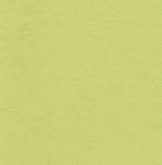 Fabric Finders 15 Yard Bolt 9.34 A Yd  Chartreuse Twill 100%Cotton60inch