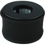 Bissell B-54A2 Filter, Power Edge 81L2T