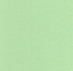 Fabric Finders Pistachio Pique 15 Yd Bolt 9.34 A Yd 100% Pima Cotton Fabric 60"