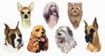 Balboa Threadworks 65P Dog Collection 2 4x4 Embroidery Disks